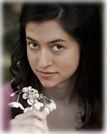 Cropped to 8x10 desaturated and blurred