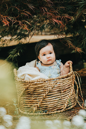 Baby portraits