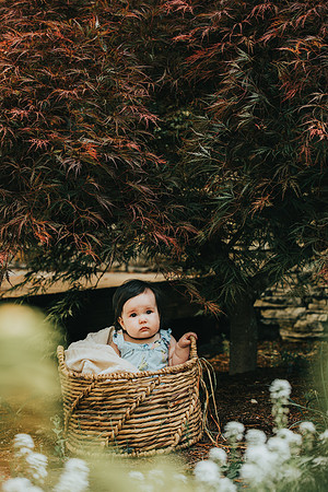 Baby portraits