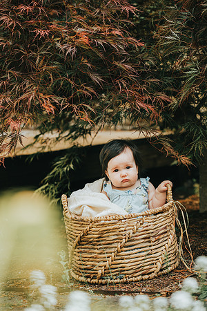 Baby portraits