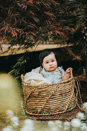 Baby portraits