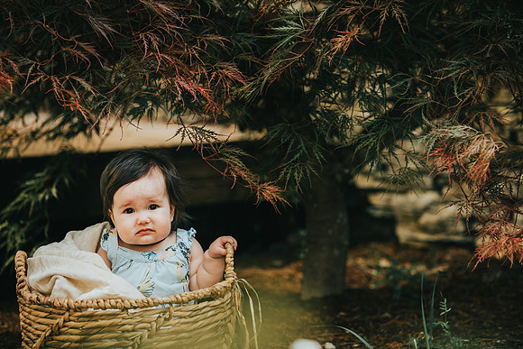 Baby portraits