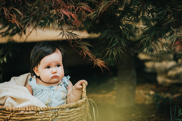 Baby portraits