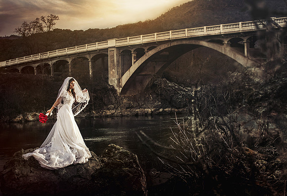 Wedding and engagement photographs