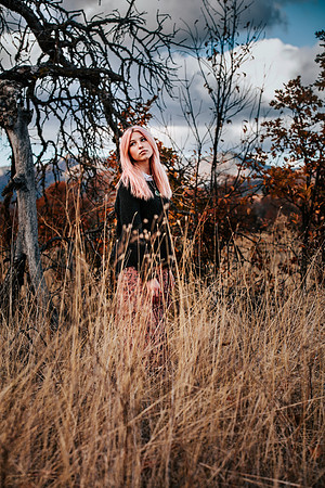 Senior Portraits