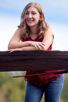 Ally